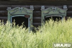 В деревне Шумино уже давно не осталось жителей