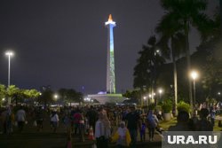 Мужчина попытался взобраться по лестнице к чаше монумента