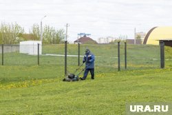 Газон требует постоянного полива, ухода и стрижки