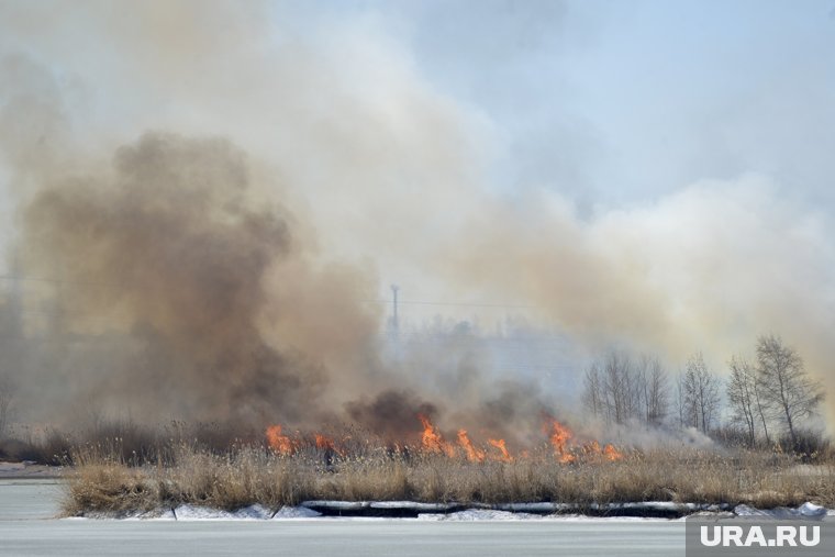 Пожарные почти 12 часов борются с возгоранием сухой травы под Тюменью