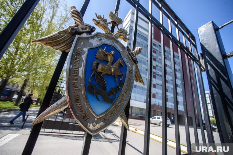 Круглову вменяется статья об ответственности за распространение ложной информации о ВС РФ