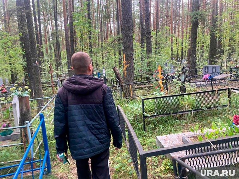 До могилы его родных можно добраться по особому ориентиру - тарелочкам на деревьях