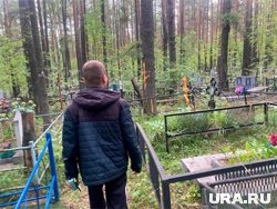 До могилы его родных можно добраться по особому ориентиру - тарелочкам на деревьях