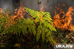 Очаги возгорания в ЯНАО тушатся в первые сутки после обнаружения