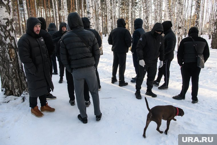 К поиску Ани Анисимовой было привлечено порядка семи с половиной тысяч человек 