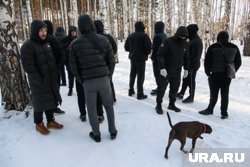 К поиску Ани Анисимовой было привлечено порядка семи с половиной тысяч человек 