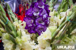 На даче Светланы Пермяковой растут гладиолусы и георгины