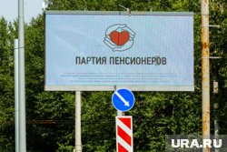 Реготделению «партии пенсионеров» не удалось закрыть все округа