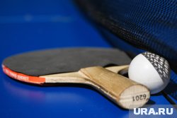 В состав комплекса войдут три крытых корта: один предназначен для большого тенниса, два других — для занятий сквошем и настольным теннисом