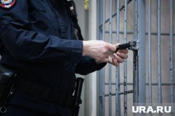 Первые пять лет заключения Човган проведет в тюрьме