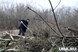 Ручная прополка в качестве метода удаления борщевика - не самое эффективное средство
