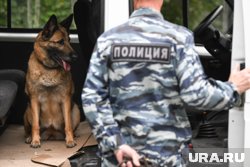 Полиция задержала пособников наркодельцов