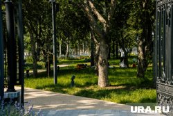 В ХМАО благоустроят 15 городских территорий в 2026 году