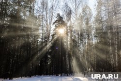 Все школьники Тюмени отправятся на уроки