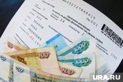 Директору грозит уголовная ответственность за уклонение от уплаты налогов