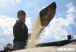 В ноябре постановление правительства по удобрениям может быть продлено