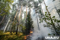 В Челябинской области объявили об угрозе природных пожаров 