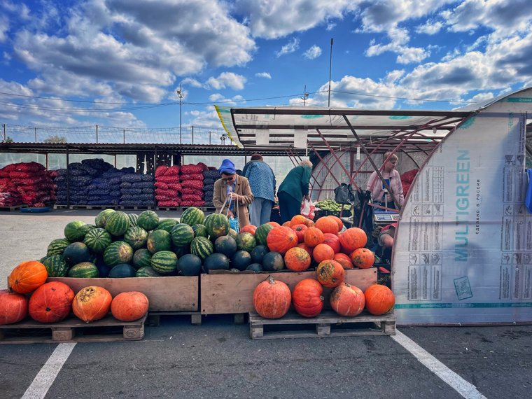 Курганцы выбирают продукцию из Куртамышского округа