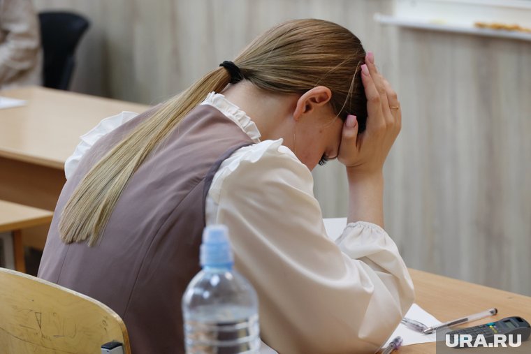 В России запретили рекламировать продажу ответов на задания ЕГЭ и ОГЭ