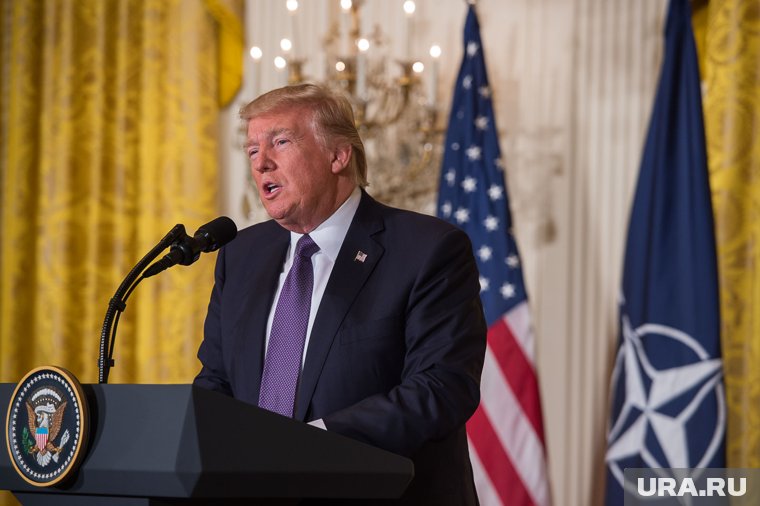 Трамп допустил, что может лично спросить Зеленского о его делах
