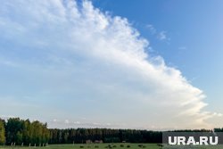 Ямальцы помогут ученым наблюдать за журавлями в небе 