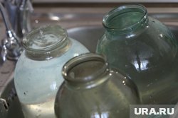 Эколог порекомендовал отстаивать или фильтровать воду