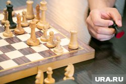 Украинского шахматиста Шевченко лишили звания гроссмейстера
