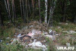 Мешки с пробирками для крови валялись на лесной территории (архивное фото)
