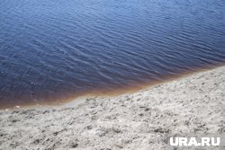 На водоемах, где запрещено купание, установлены специальные знаки