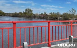 Мост в Притобольном округе (Курганская область) передадут в собственность муниципалитета