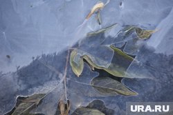 В регионе ожидается резкое похолодание
