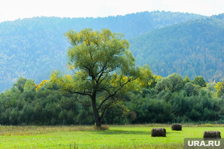 В музеях представлены фотовыставки