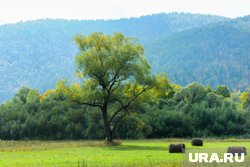 В музеях представлены фотовыставки