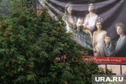 Фрейлины, несмотря на арест Николая II и членов его семьи, остались преданы императору