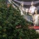 Преподавали и сидели в тюрьмах: чем известны фрейлины, на могиле которых в Перми провели оккультный ритуал