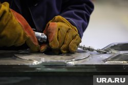 Выручка предприятия сократилась по итогам 2024 года