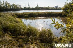 Мальчик пришел к озеру Оброчное, чтобы порыбачить