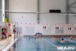 Застройщика для нового бассейна планируют выбрать до конца года