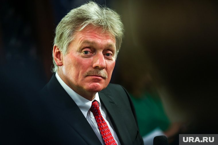 Песков назвал взыскание курскому чиновнику Карнаушко прерогативой властей