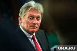 Песков назвал взыскание курскому чиновнику Карнаушко прерогативой властей