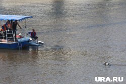 Сразу семь человек утонули с начала купального сезона