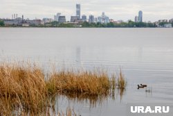 Труп мог находиться в воде несколько дней
