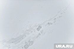 Декабрь 2025 года с большой долей вероятности окажется холоднее прошлогоднего