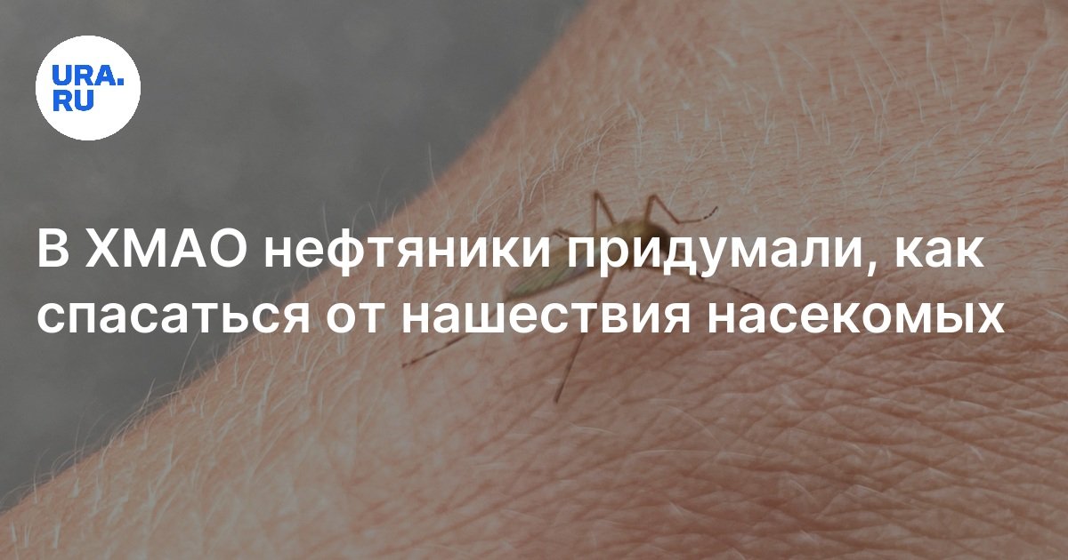 Применение дегтя для защиты от комаров и мошек — советы нефтяников в ХМАО