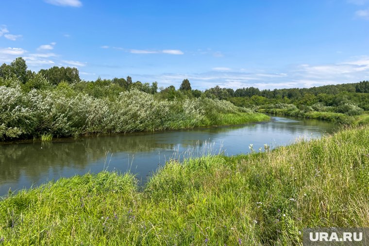 Женщина зашла в воду в непредназначенном для купания месте