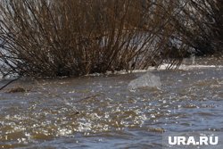 Предположительно, девушка утонула в реке Турья, ее тело ищут с 28 мая
