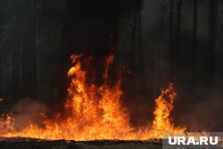 Возгорания удалось избежать (архивное фото)