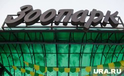 Старый зоопарк скоро исчезнет с карты Перми