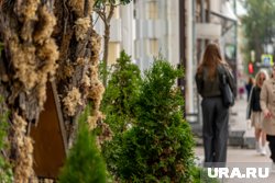 Минимум четыре взрыва прогремели над Воронежем