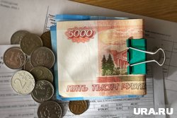 Власти Шадринска собрали финансовый резерв на случай ЧС